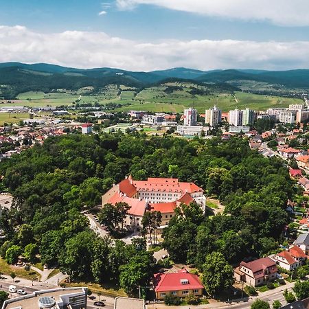 Palace Art Hotel Pezinok Bagian luar foto