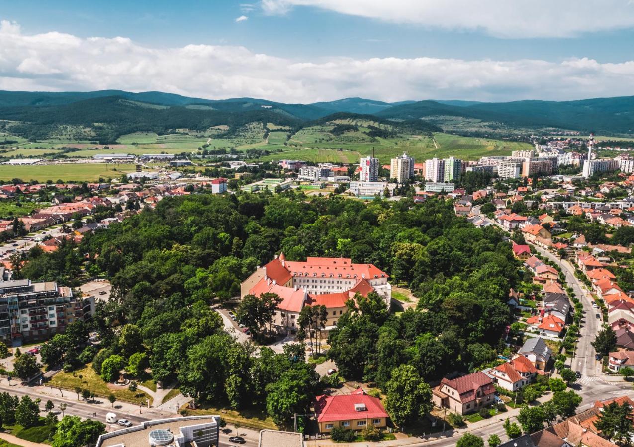 Palace Art Hotel Pezinok Bagian luar foto